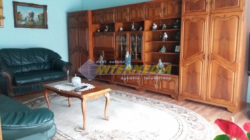 vila-de-vanzare-in-centru-6-camere-3-garaje-6